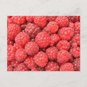 Carte postale avec framboises