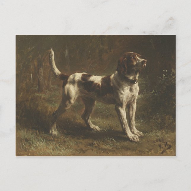 Carte Postale Avec Magnifique Peinture De Chien (Devant)