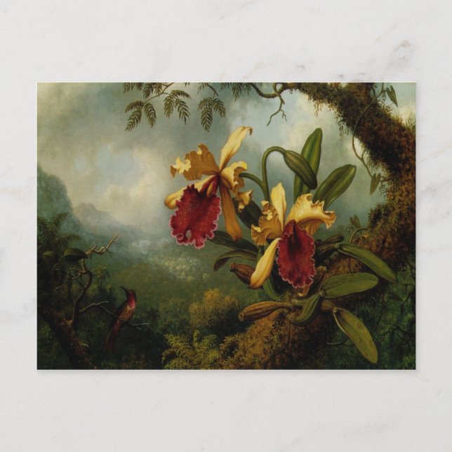 Carte Postale Avec Martin Johnson Peinture Heade (Devant)