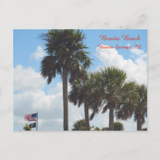 Carte postale avec palmiers sur la plage