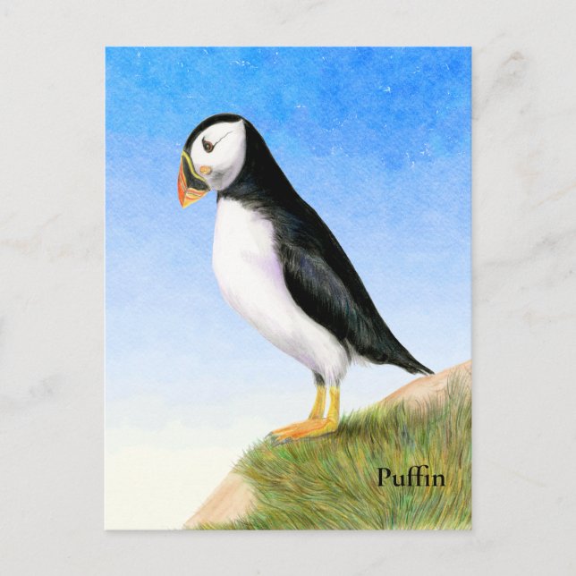 Carte postale avec peinture aquarelle de macareux (Devant)