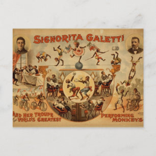 Carte Postale Avec Poster Old Circus