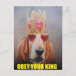 Carte postale avec roi basset hound