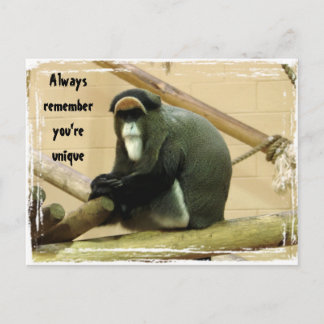 Carte postale avec singe