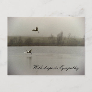 Carte Postale Avec une profonde sympathie