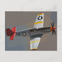 Avion de Tuskegee