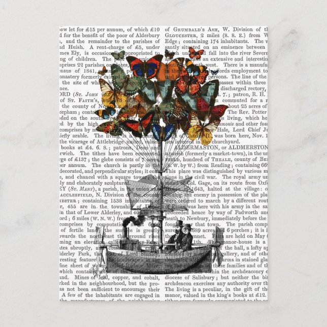 Carte Postale Avion papillon (Devant)