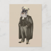 Avocat Schnauzer 2