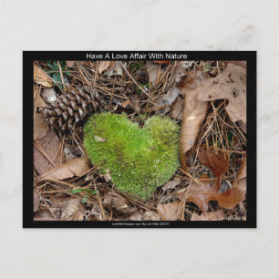 Carte Postale Avoir une relation d'amour avec la nature Dons de 