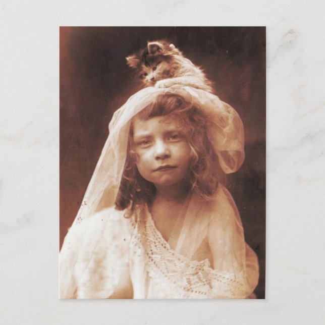 Carte Postale Awesome Funny Antique Cat Girl Photo (Devant)