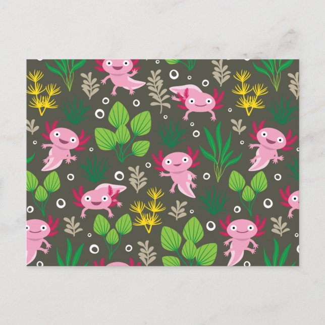 Carte postale Axolotl (Devant)