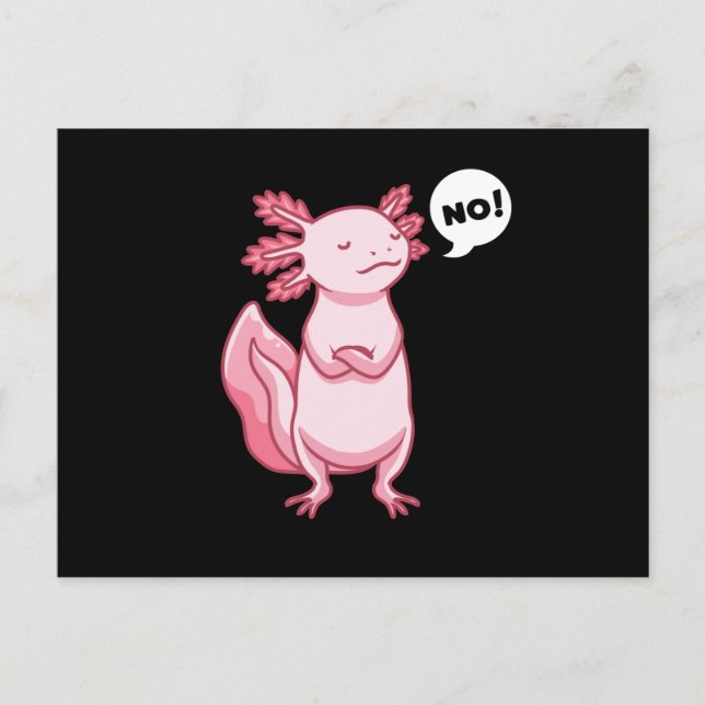 Carte Postale Axolotl Avec Animal Stuffé Dans Le Style Kawaii (Devant)