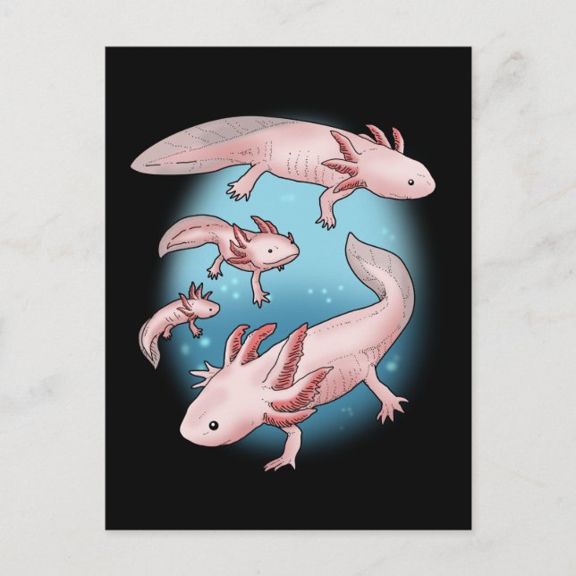 Carte Postale Axolotl Cadeaux Enfants Kawaii Axolotl Cadeaux Hom (Devant)