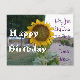 Carte Postale Ayez un spécial Sunny Colorful Joyeux Anniversaire