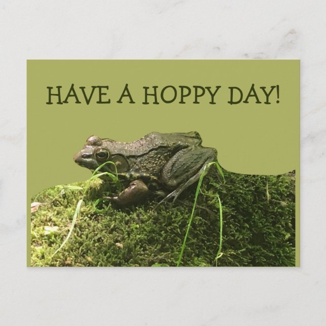 Carte Postale Ayez une grenouille de jour Hoppy vert photo (Devant)