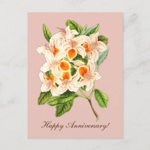 Carte Postale Azalée magnifique, Anniversaire