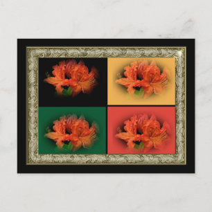 Carte Postale Azalées orange