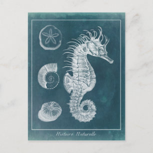 Carte Postale Azure Seahorse Study I