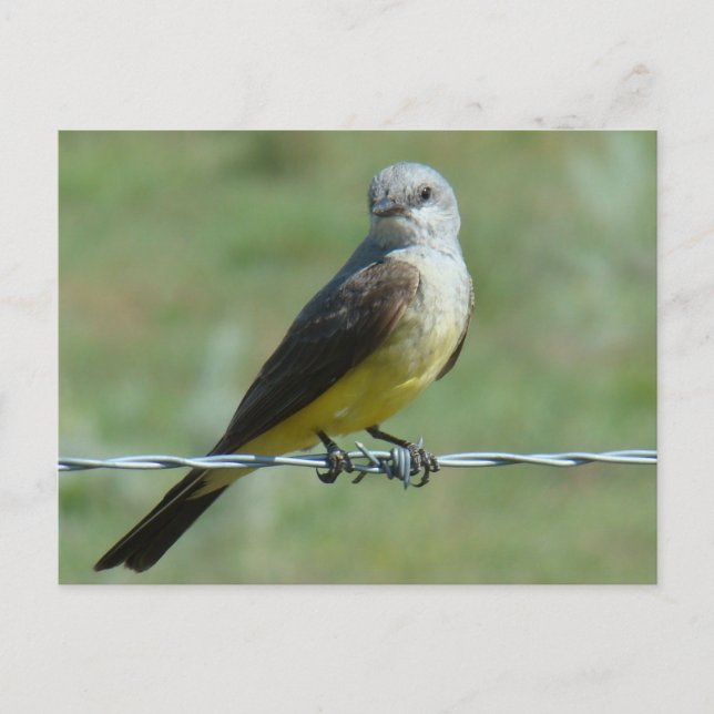 CARTE POSTALE B32 (Devant)