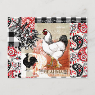 Carte Postale B est pour le poulet Jardin Brahma