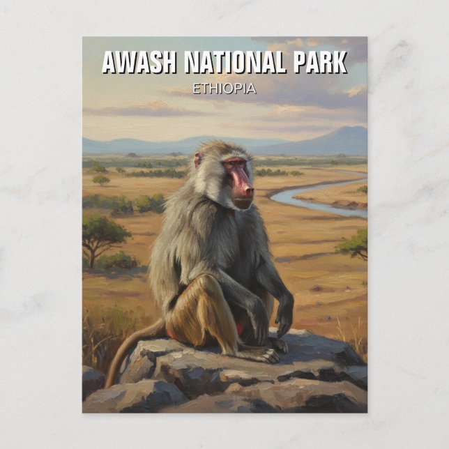 Carte Postale Baboon dans le Parc National d'Awash Éthiopie Voya (Devant)