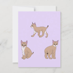 Carte Postale Baby Bobcats