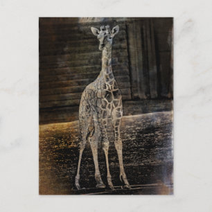 Carte Postale Baby Giraffe