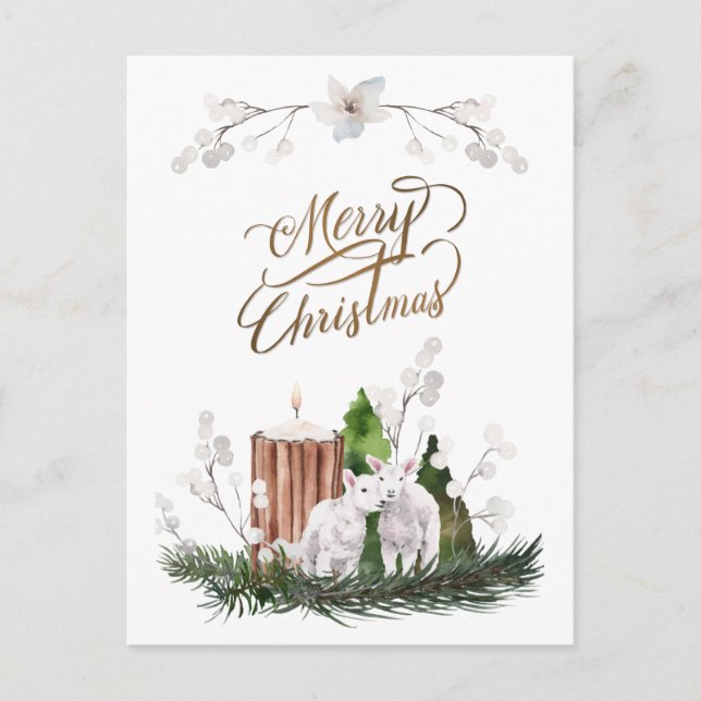 Carte Postale Baby Lamb Pine Candle Noël (Devant)