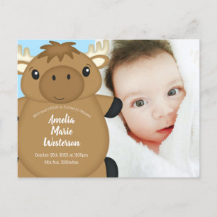 Carte Postale Baby shower d'orignal bleu