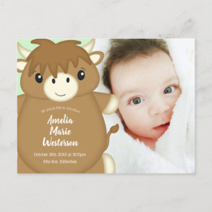 Carte Postale Baby shower écossais Highland Cow