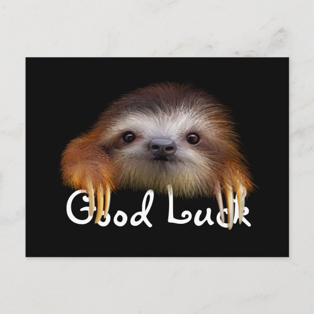 Carte Postale Baby Sloth Bonne Chuck Post Card (Devant)