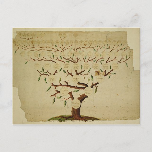 Carte Postale Bach Family Tree, c.1750-1770 (Devant)