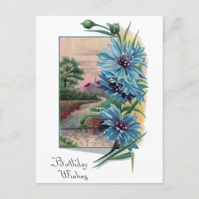Carte Postale Bachelor Bleu's Buttons Anniversaire (Devant)