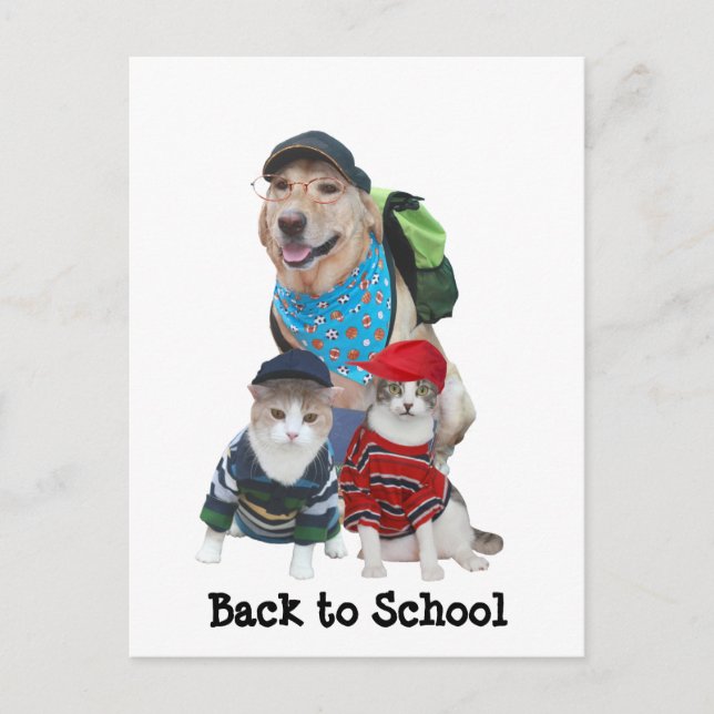 Carte Postale Back to school (Devant)