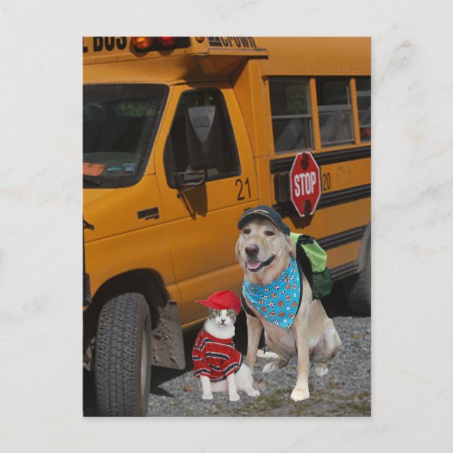 Carte Postale Back to school (Devant)