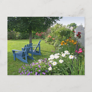 Carte Postale Back Yard