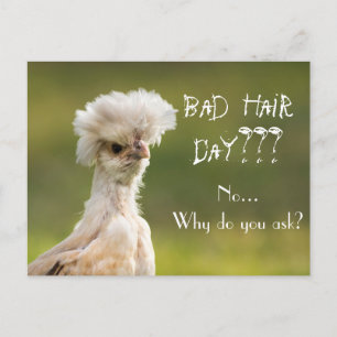 Carte Postale Bad Hair Day poulet