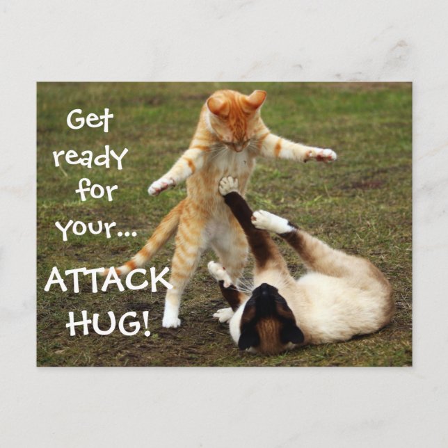 Carte Postale Badass Cats - Attaque serrée (Devant)