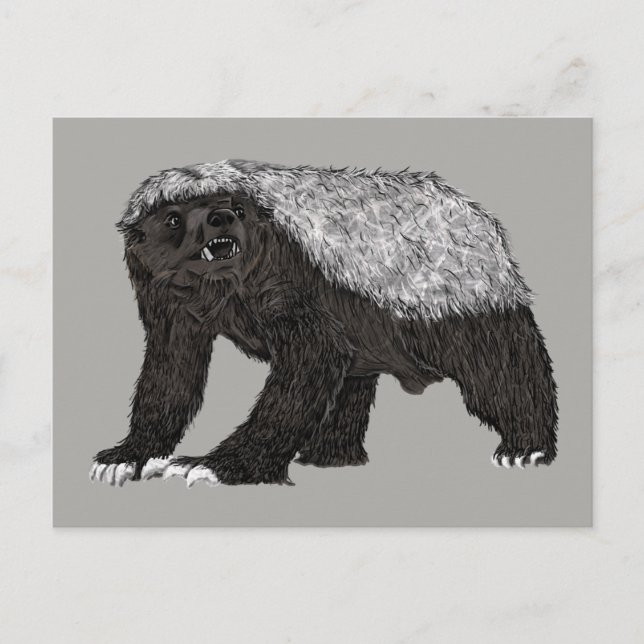 Carte Postale Badass Honey Badger Attitude sans peur Art animal (Devant)