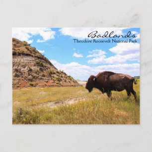 Carte postale Badlands of North Dakota