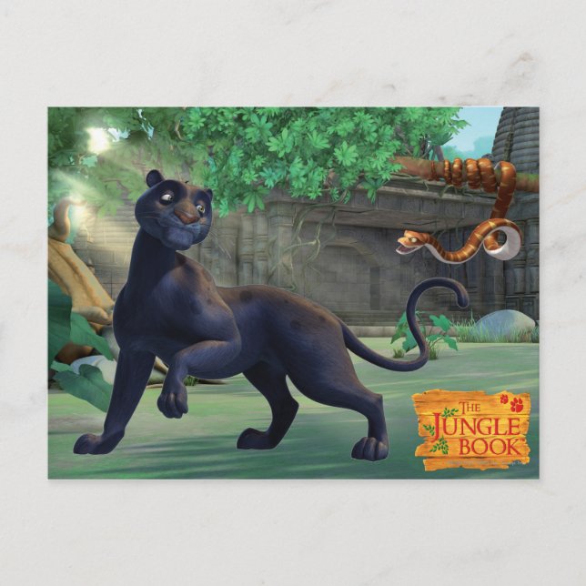 Carte Postale Bagheera 3 (Devant)
