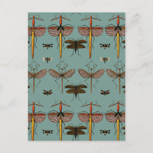 Carte Postale Baguettes, Katydids et libellules
