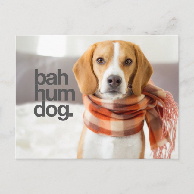 Carte Postale "Bah Hum Dog" Beagle (Devant)