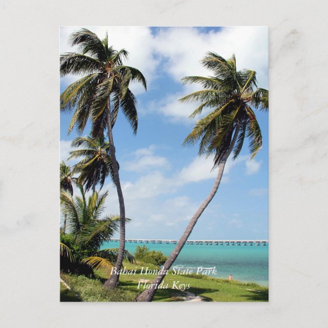 Carte Postale Bahai Honda State Park, Florida Keys (Devant)