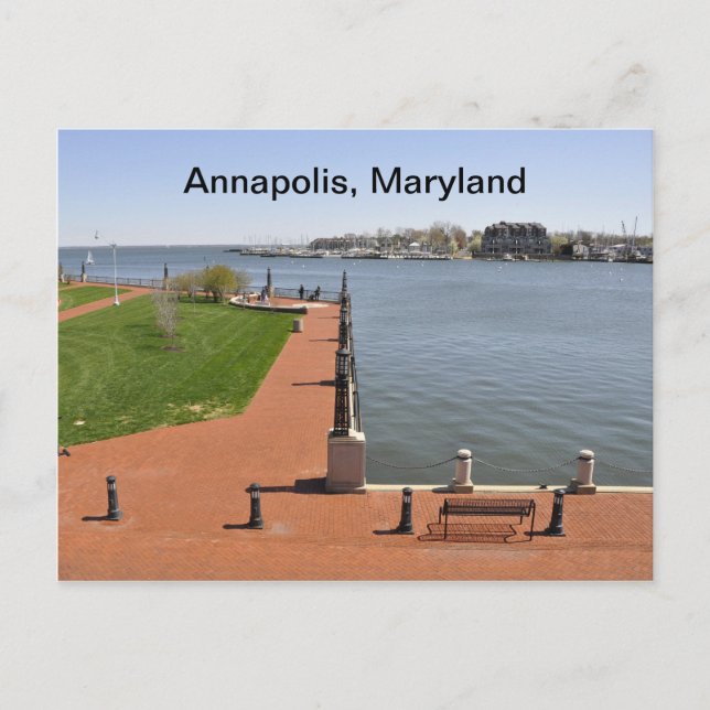 Carte Postale Baie à Annapolis, Maryland (Devant)