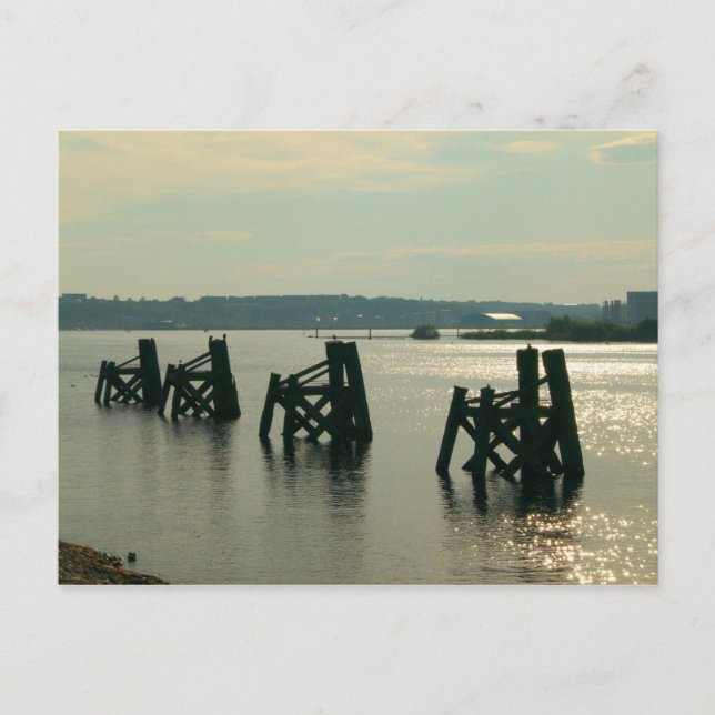 Carte Postale Baie Cardiff (Devant)