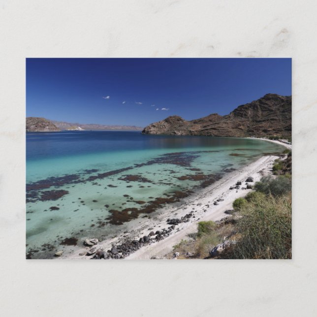 Carte Postale Baie de Baja Conception (Devant)
