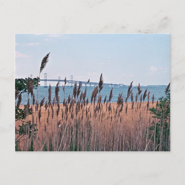 Carte Postale Baie de Chesapeake (Devant)