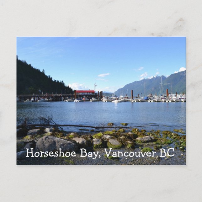 Carte Postale Baie de fer à cheval1 (Devant)