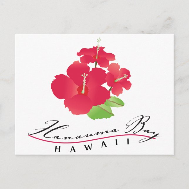 Carte Postale Baie de Hanauma Hawaii - Fleur d'Hibiscus Rouge (Devant)